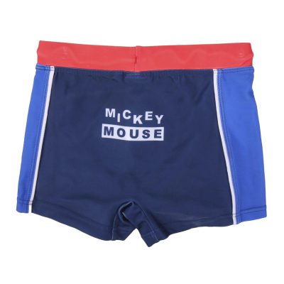 Mickey Swimming Boxer
